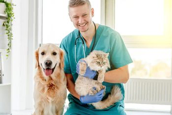 Perro y gato en el veterinario